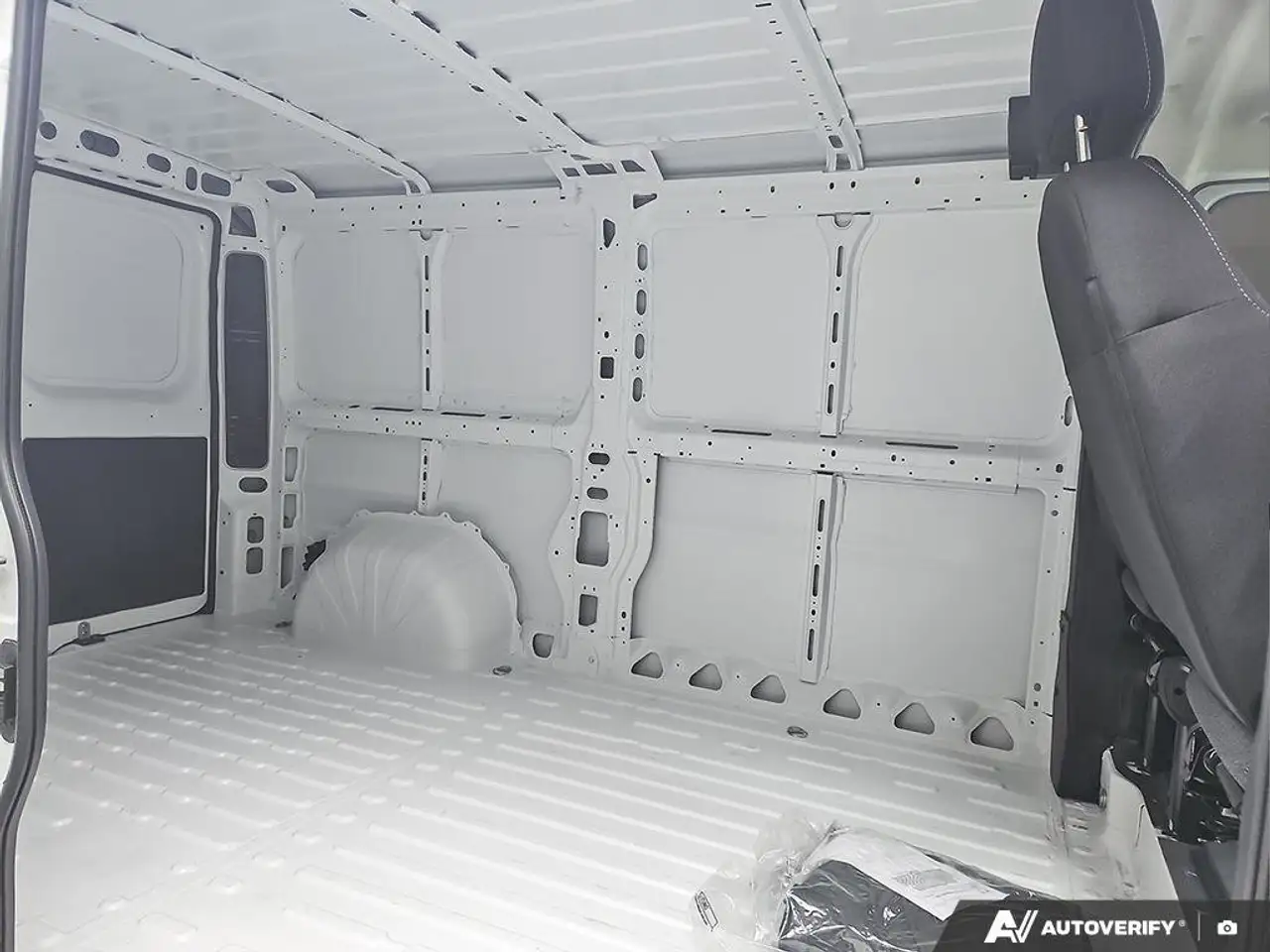 RAM Promaster снимка RAM Promaster