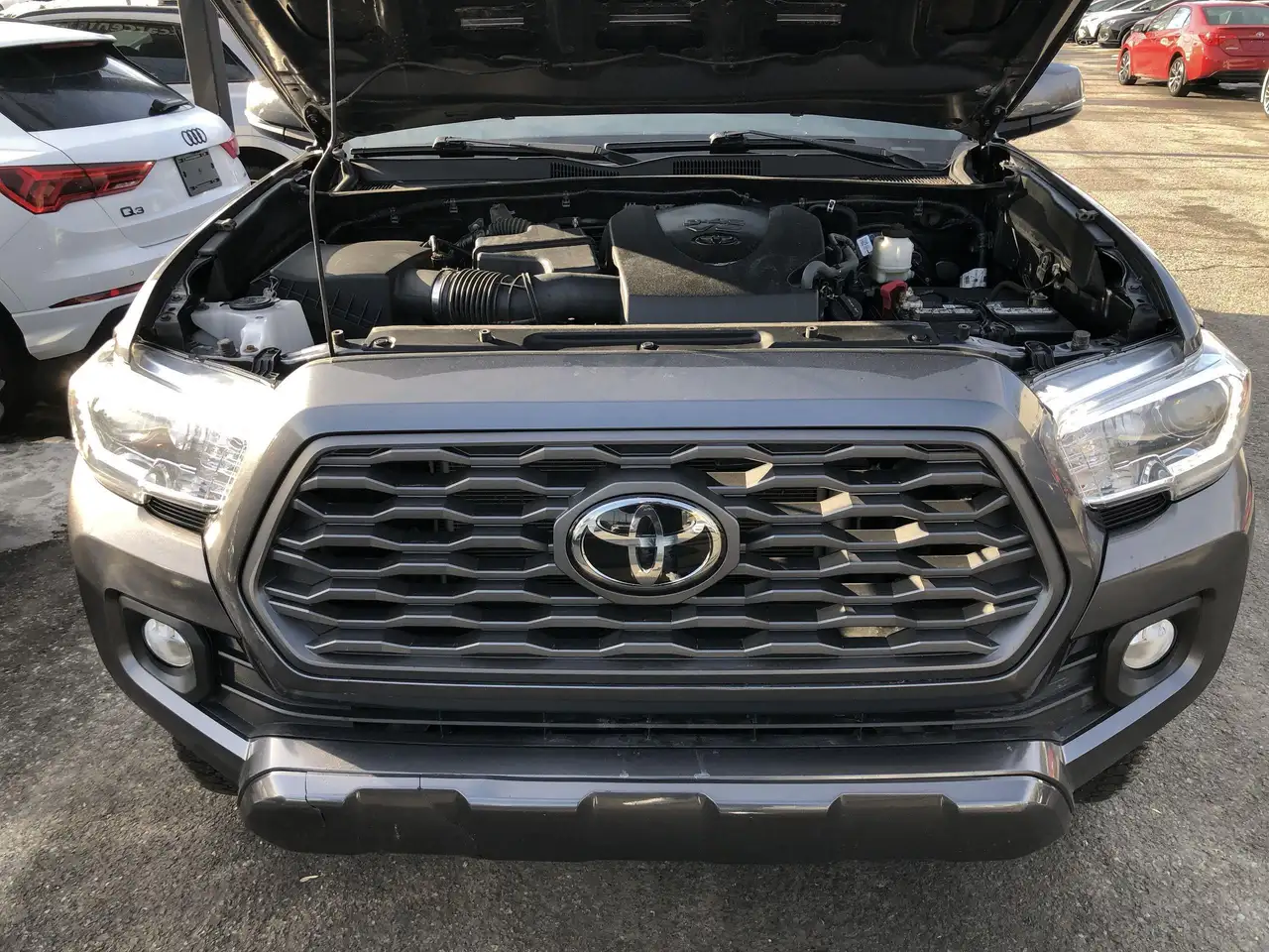 Toyota Tacoma fotografie Toyota Tacoma