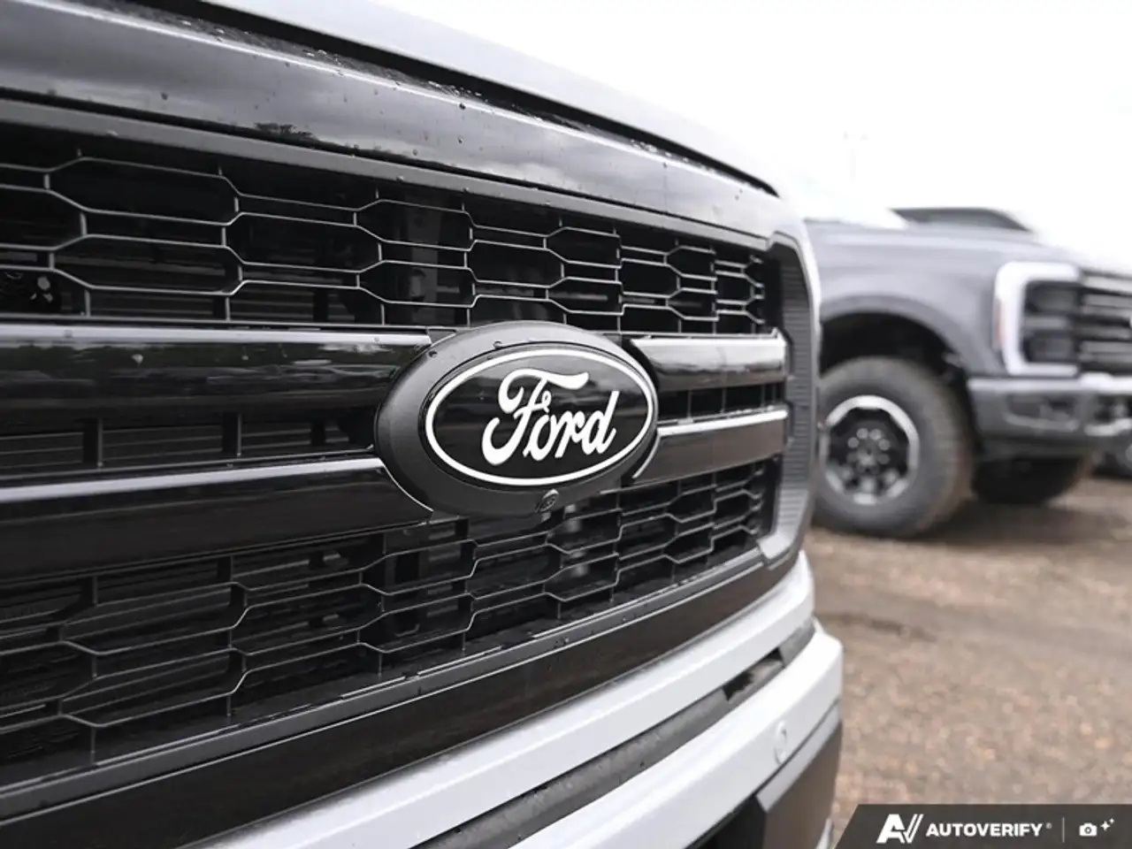 Ford F 150 fotografie Ford F 150