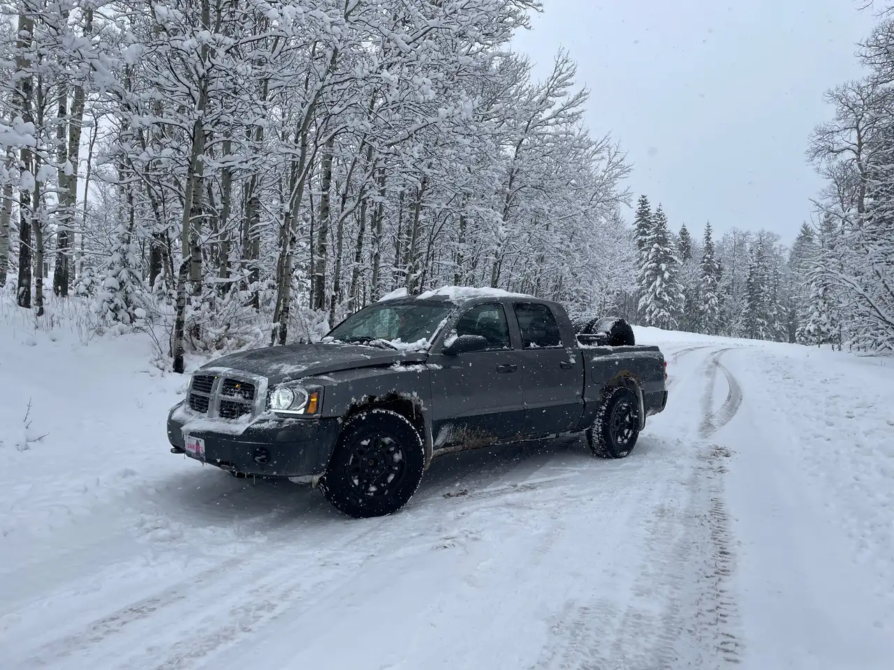 Dodge Dakota fotografie Dodge Dakota