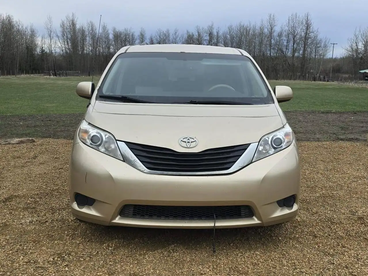 Toyota Sienna photo Toyota Sienna