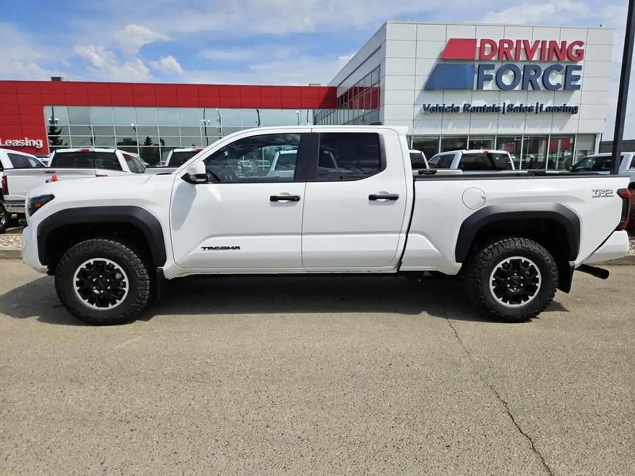 Toyota Tacoma fotografie Toyota Tacoma