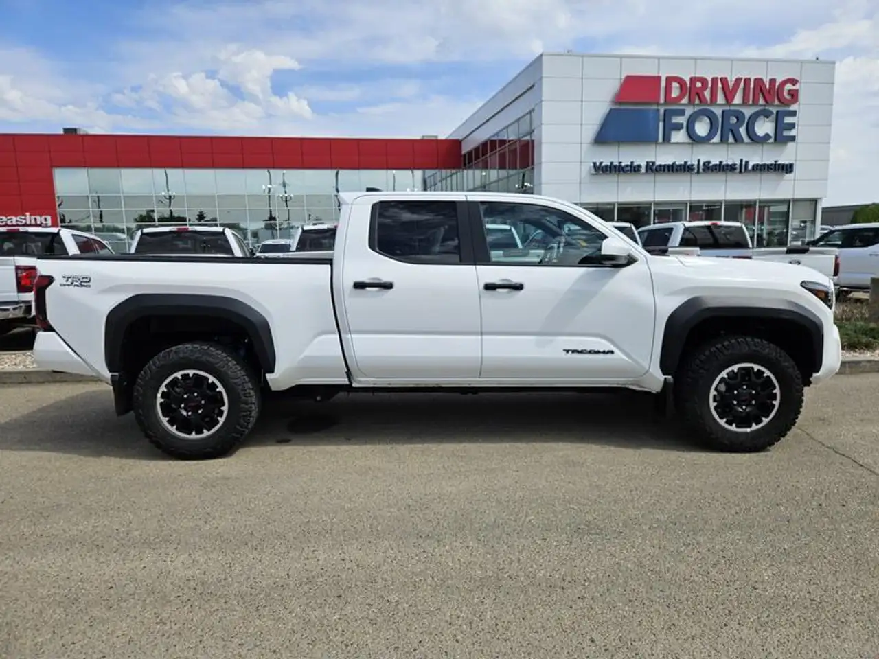 Toyota Tacoma fotografie Toyota Tacoma