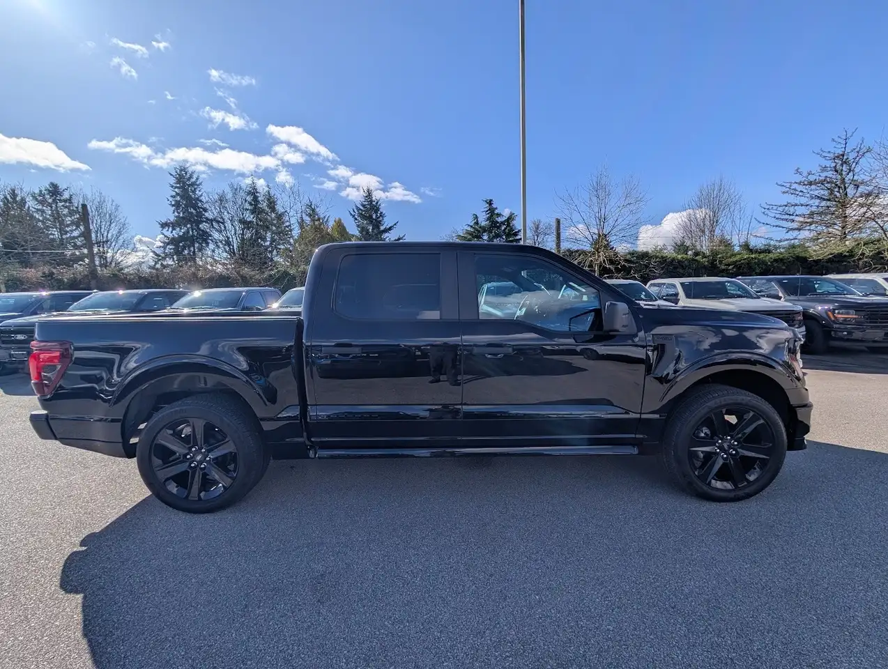 Ford F 150 снимка Ford F 150