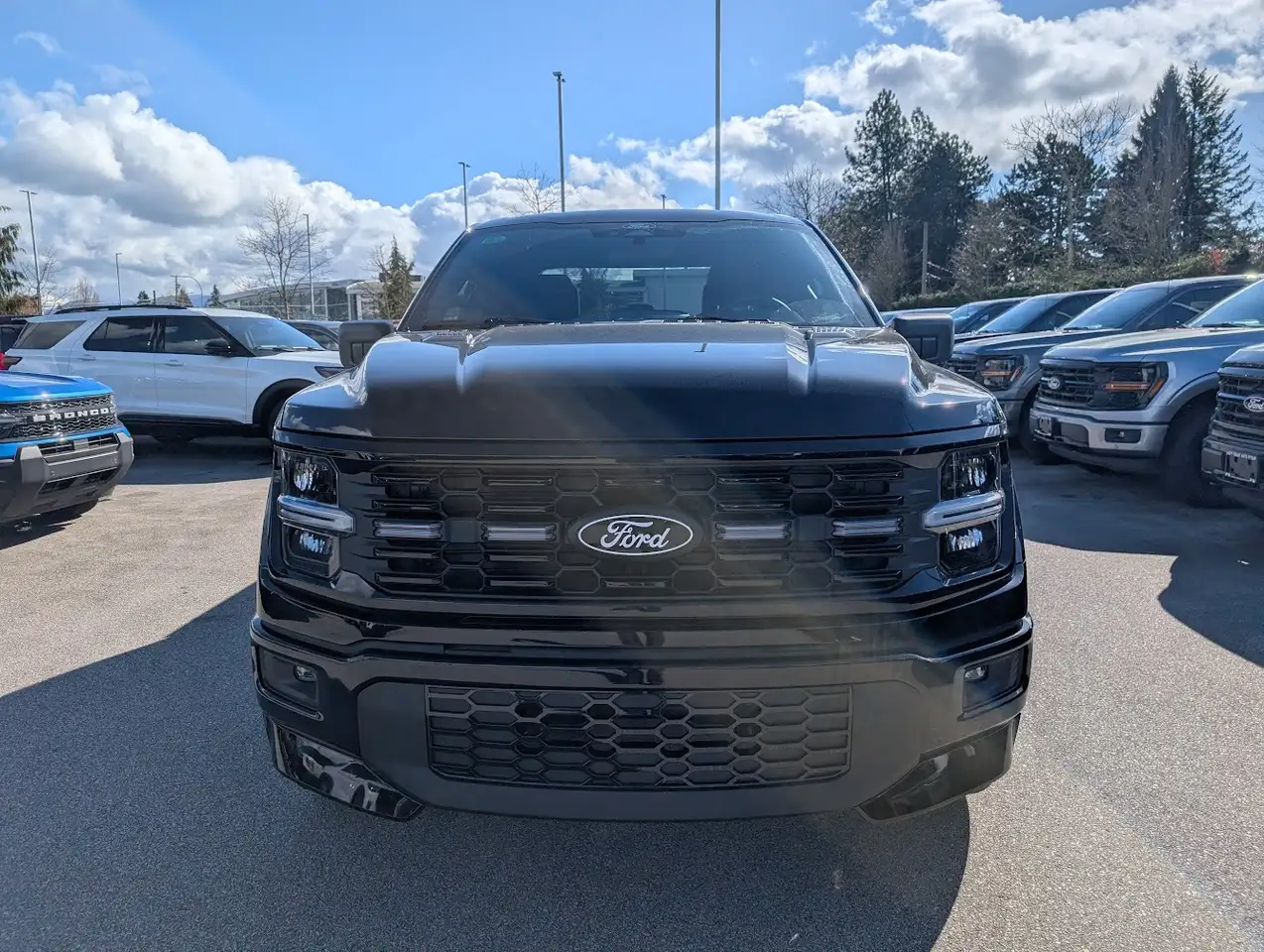 Ford F 150 снимка Ford F 150