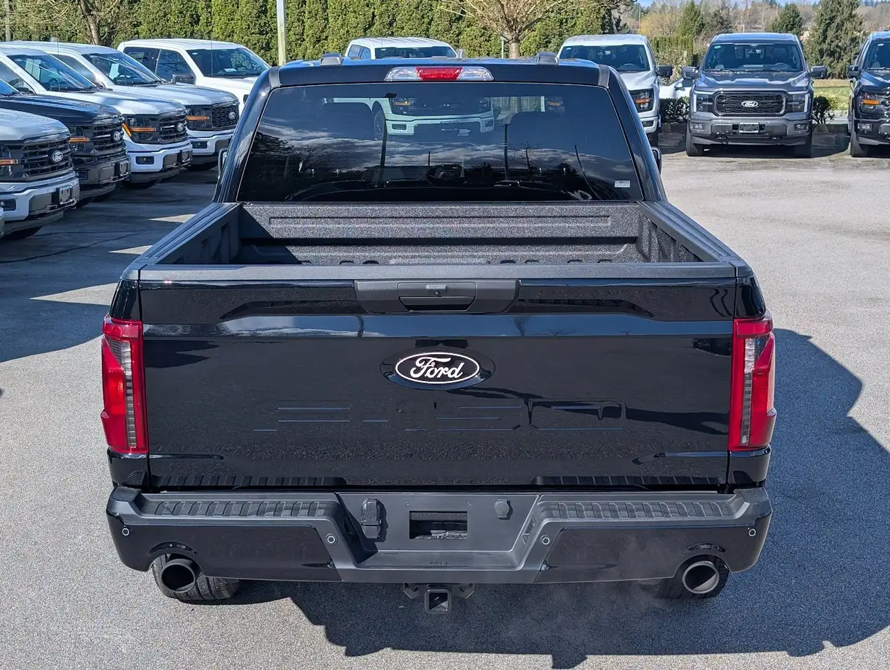 Ford F 150 снимка Ford F 150