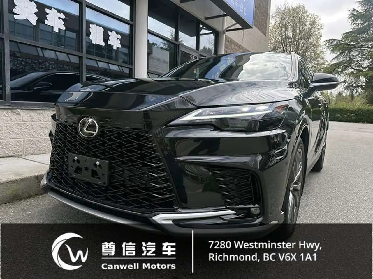 2024 Lexus RX