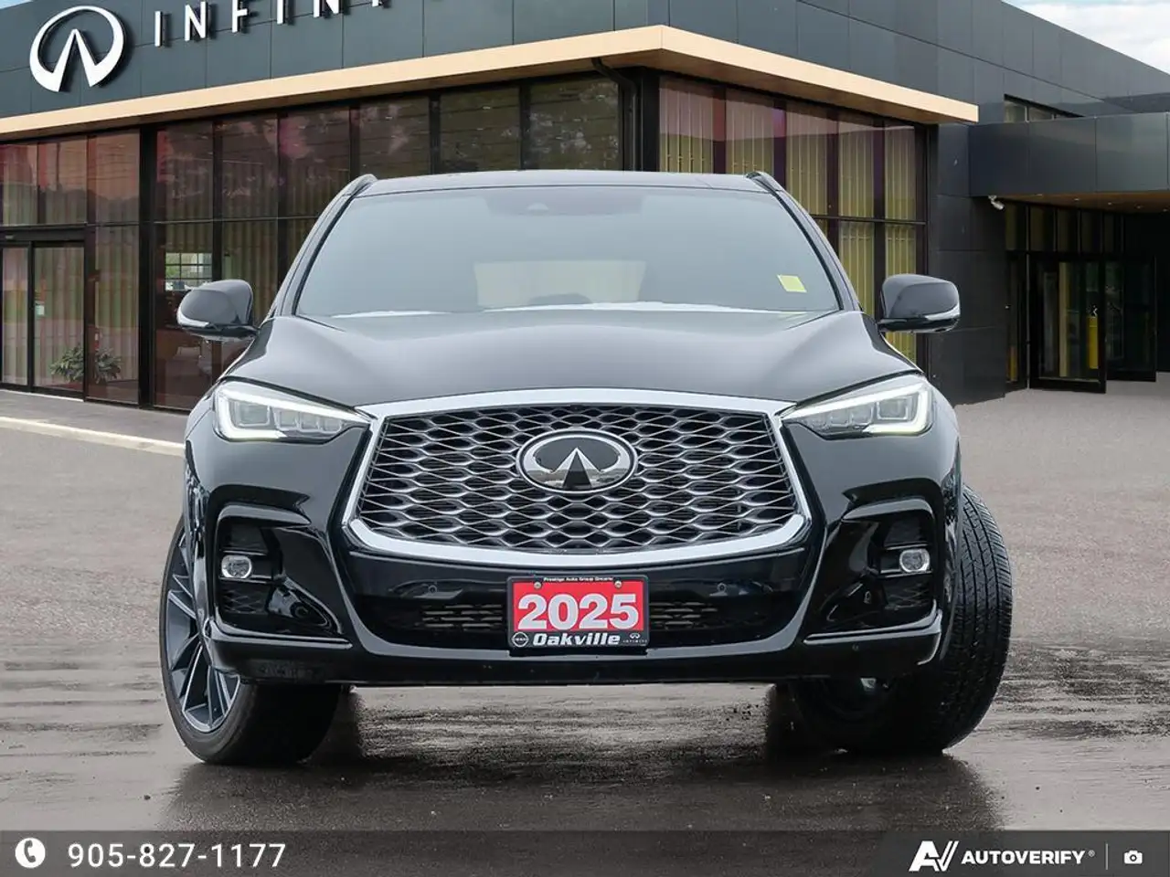 Infiniti QX55 photo Infiniti QX55