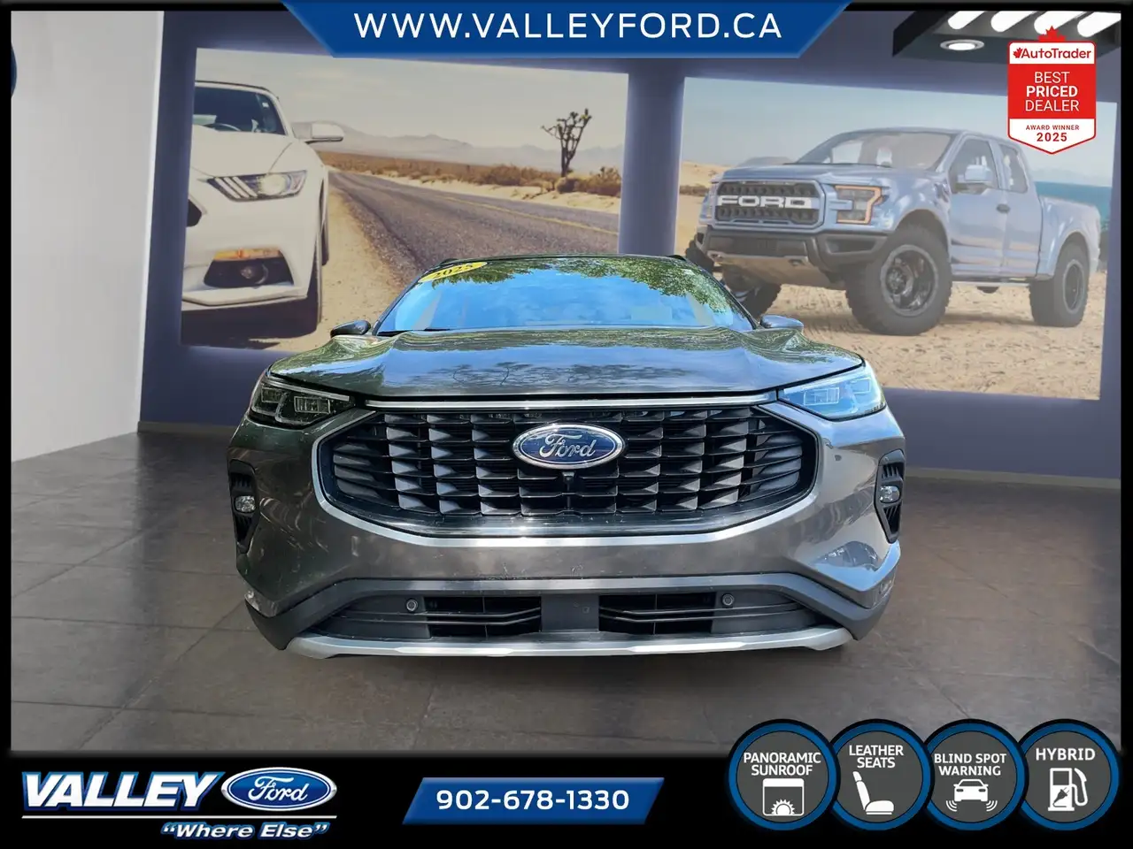 Ford Escape photo Ford Escape