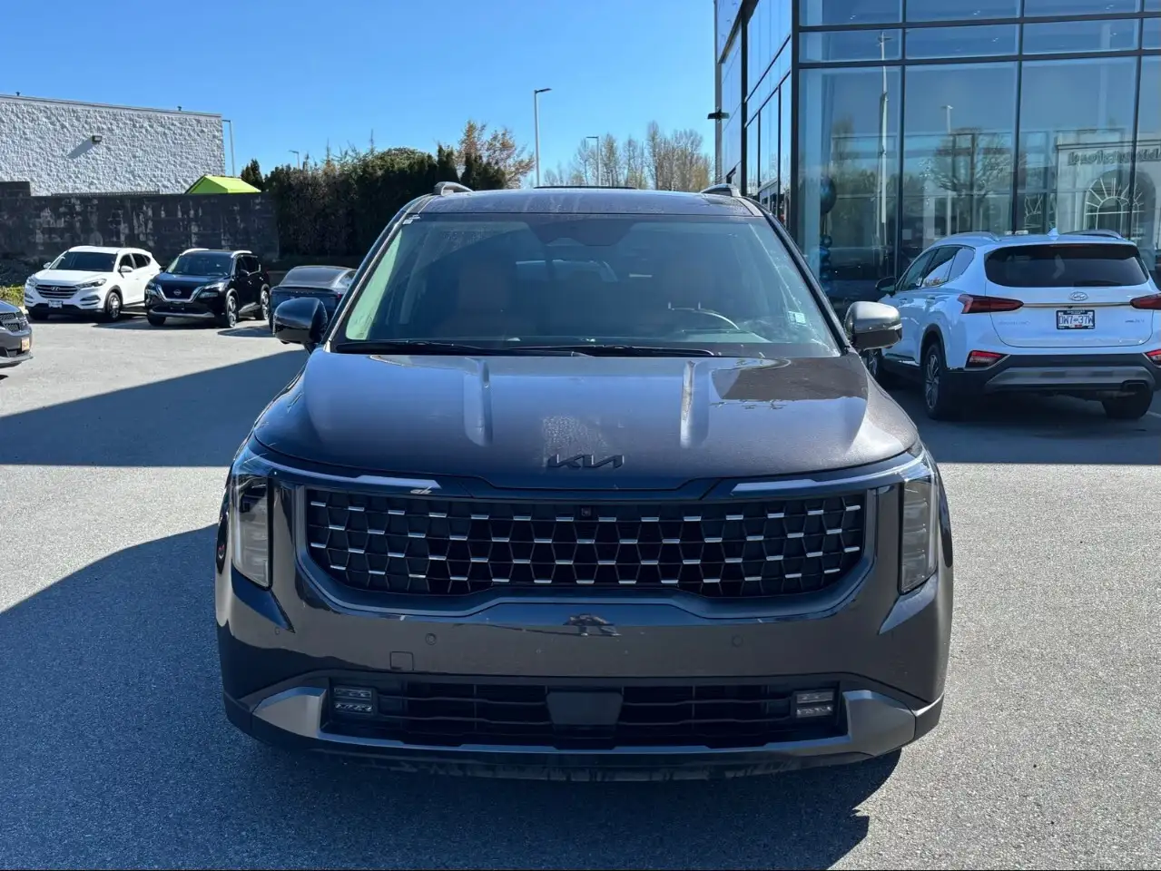 Kia Carnival photo Kia Carnival