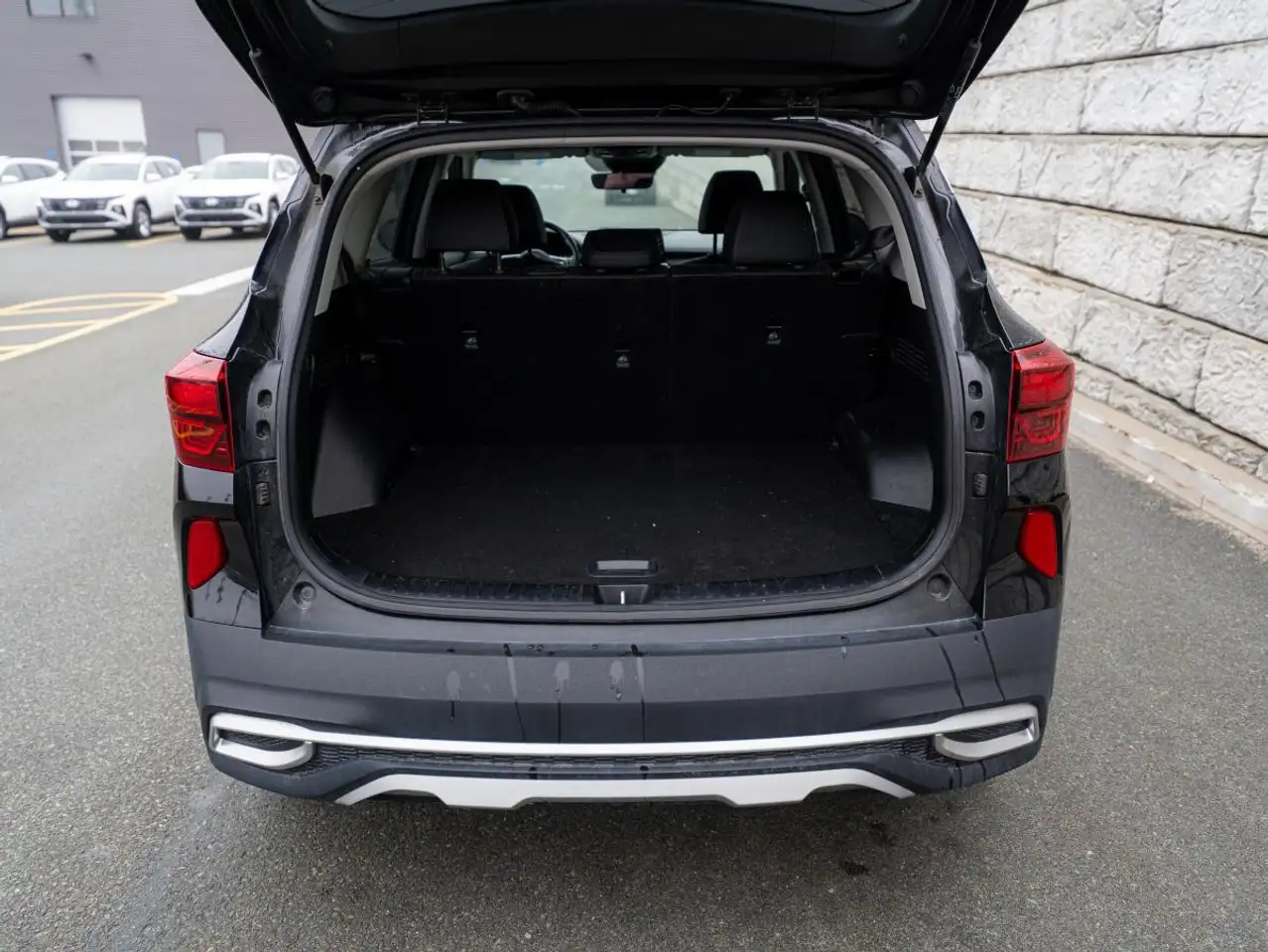 Kia Seltos photo Kia Seltos