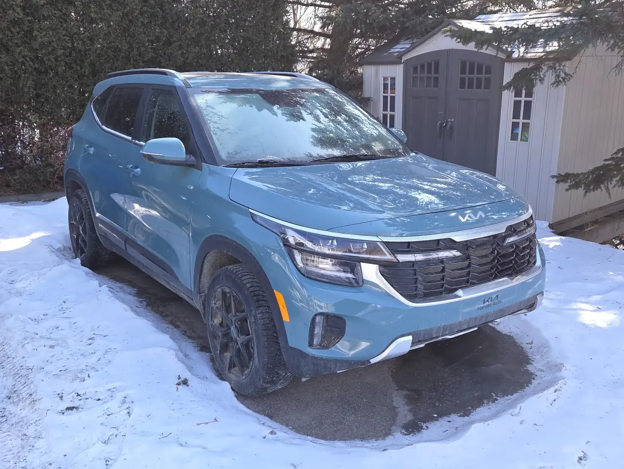 Kia Seltos снимка Kia Seltos
