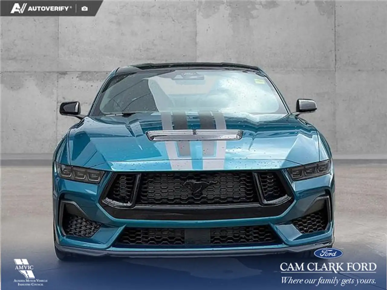 Ford Mustang photo Ford Mustang