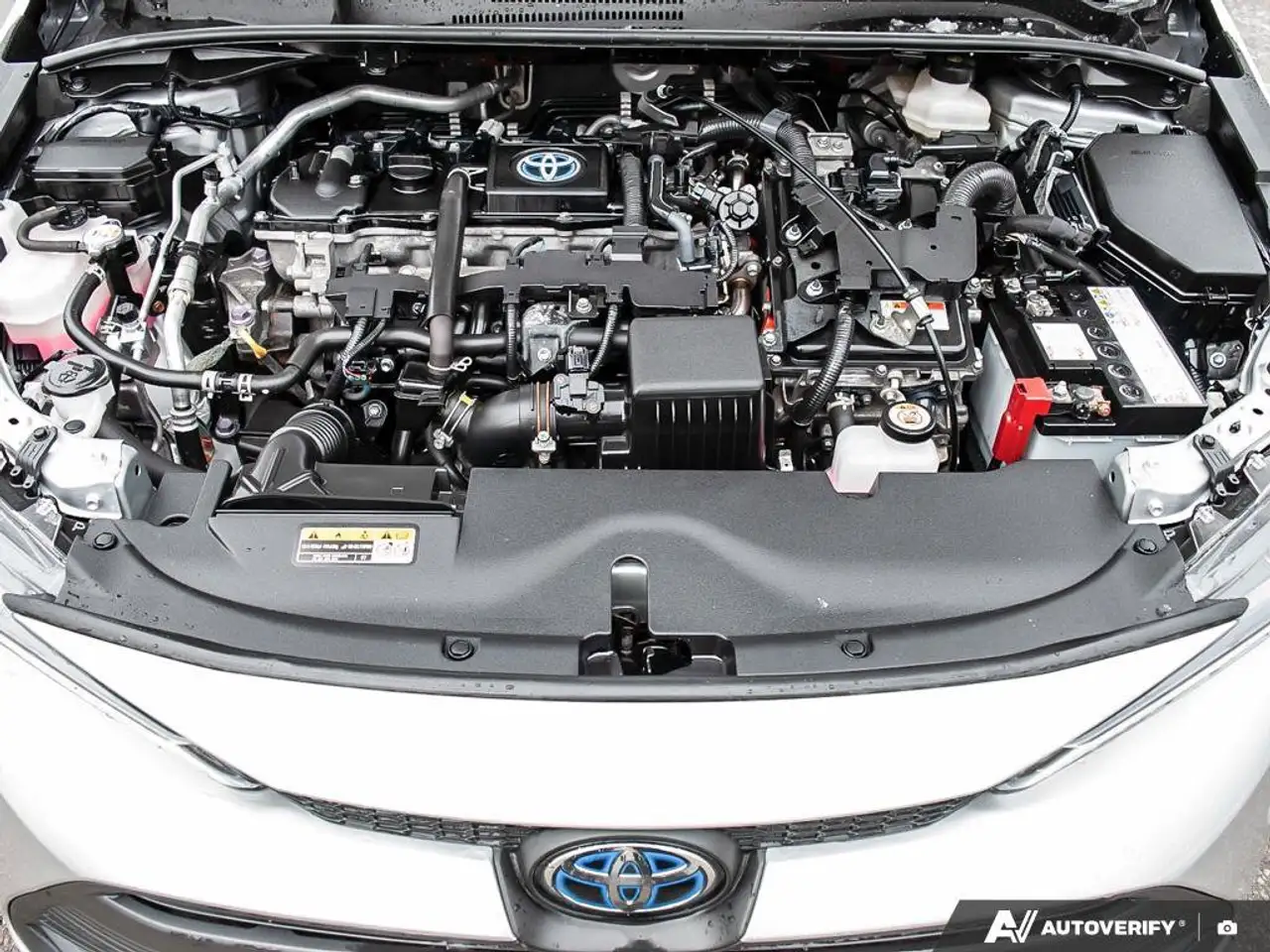 Toyota Corolla fotografie Toyota Corolla