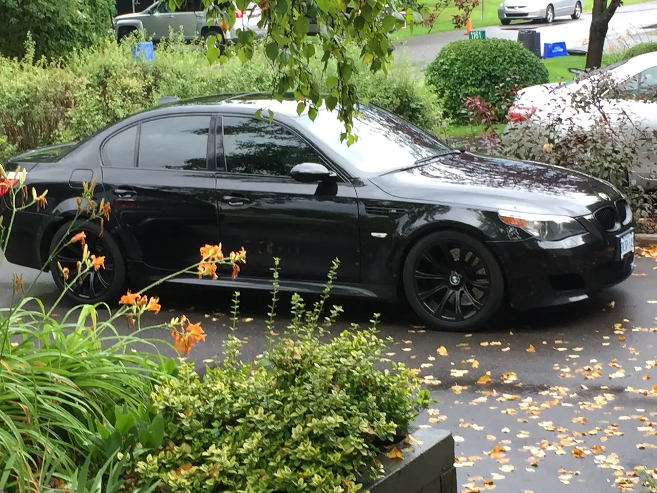 BMW 5 Series снимка BMW 5 Series