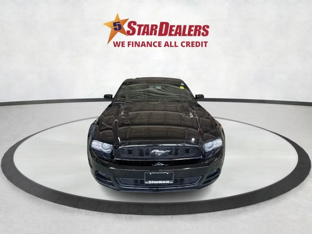 Ford Mustang fotografie Ford Mustang