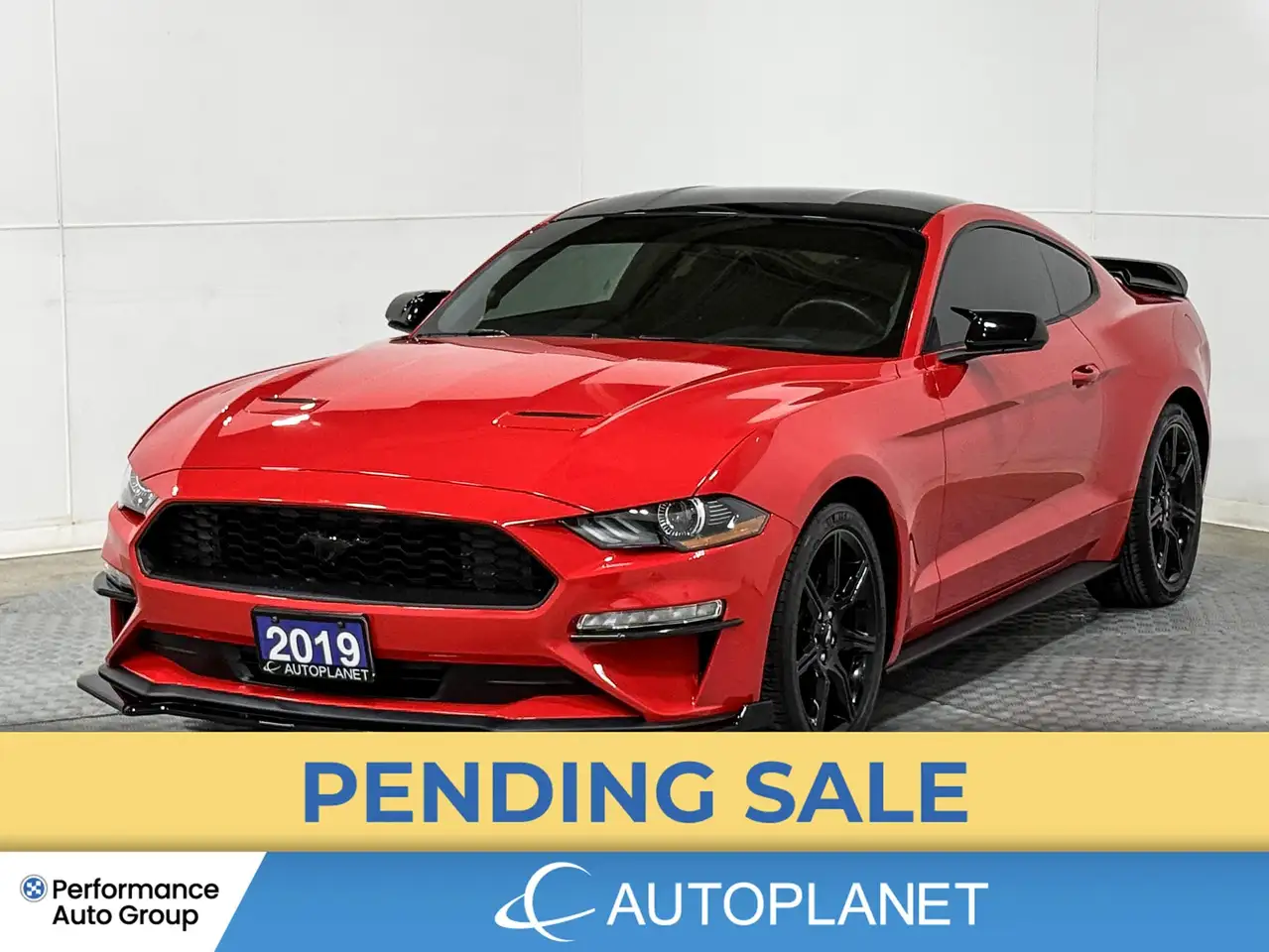 Ford Mustang photo Ford Mustang