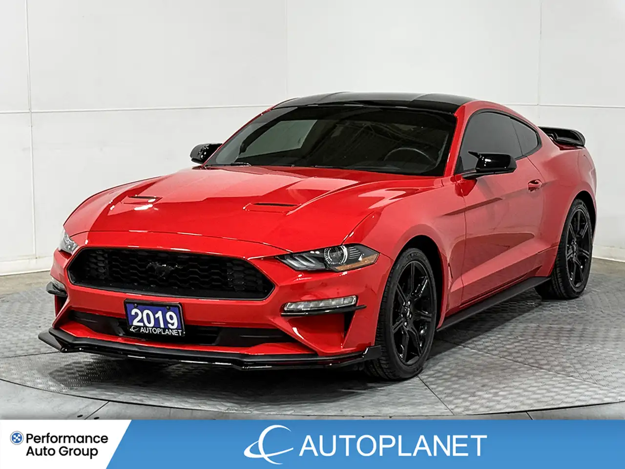 Ford Mustang photo Ford Mustang