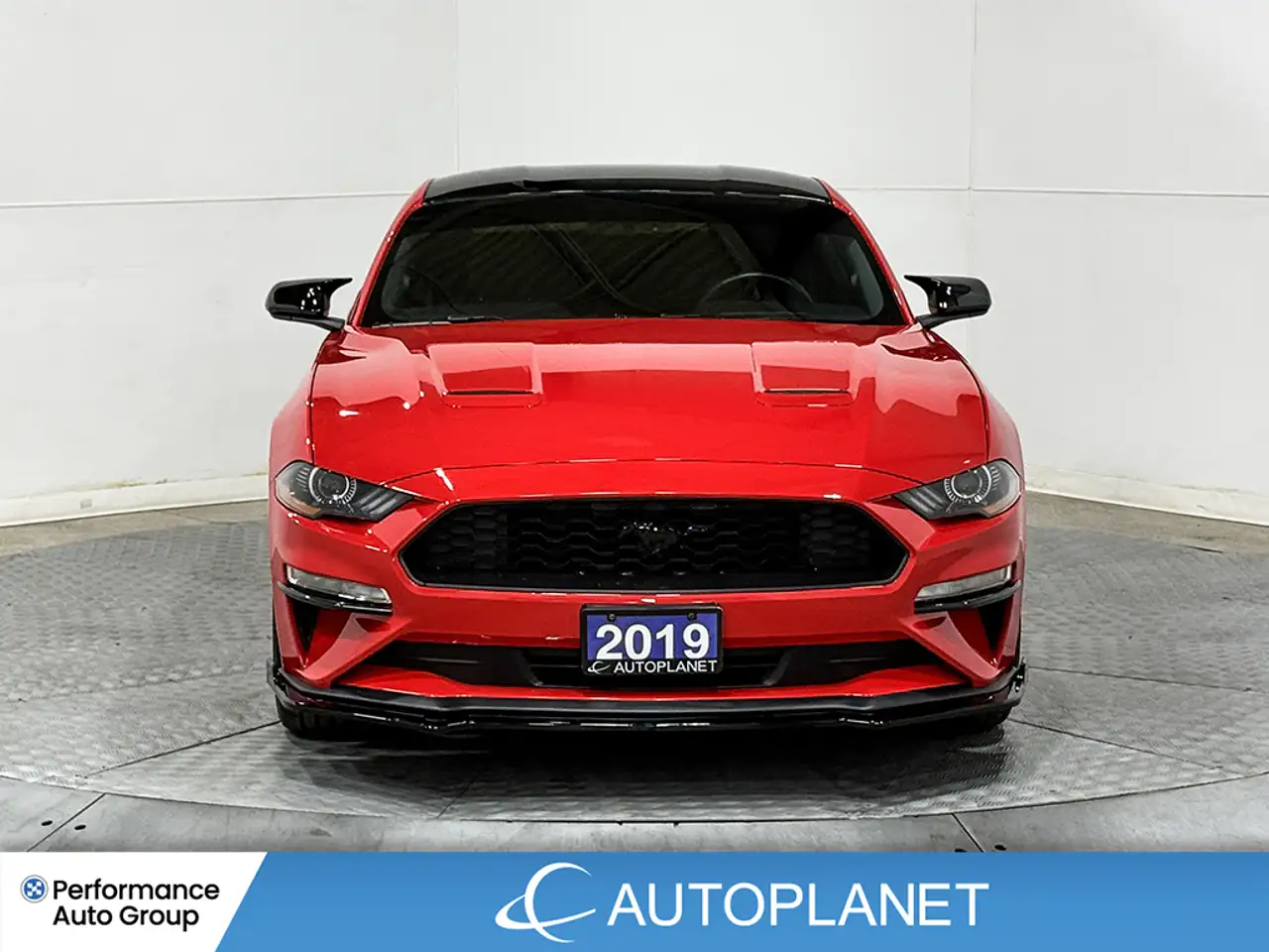 Ford Mustang photo Ford Mustang