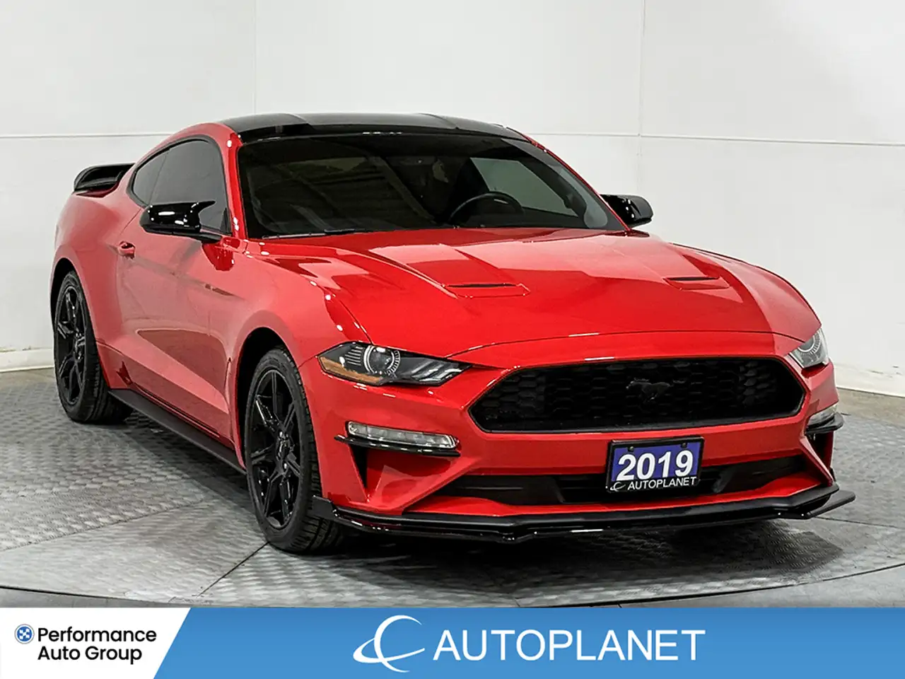Ford Mustang photo Ford Mustang