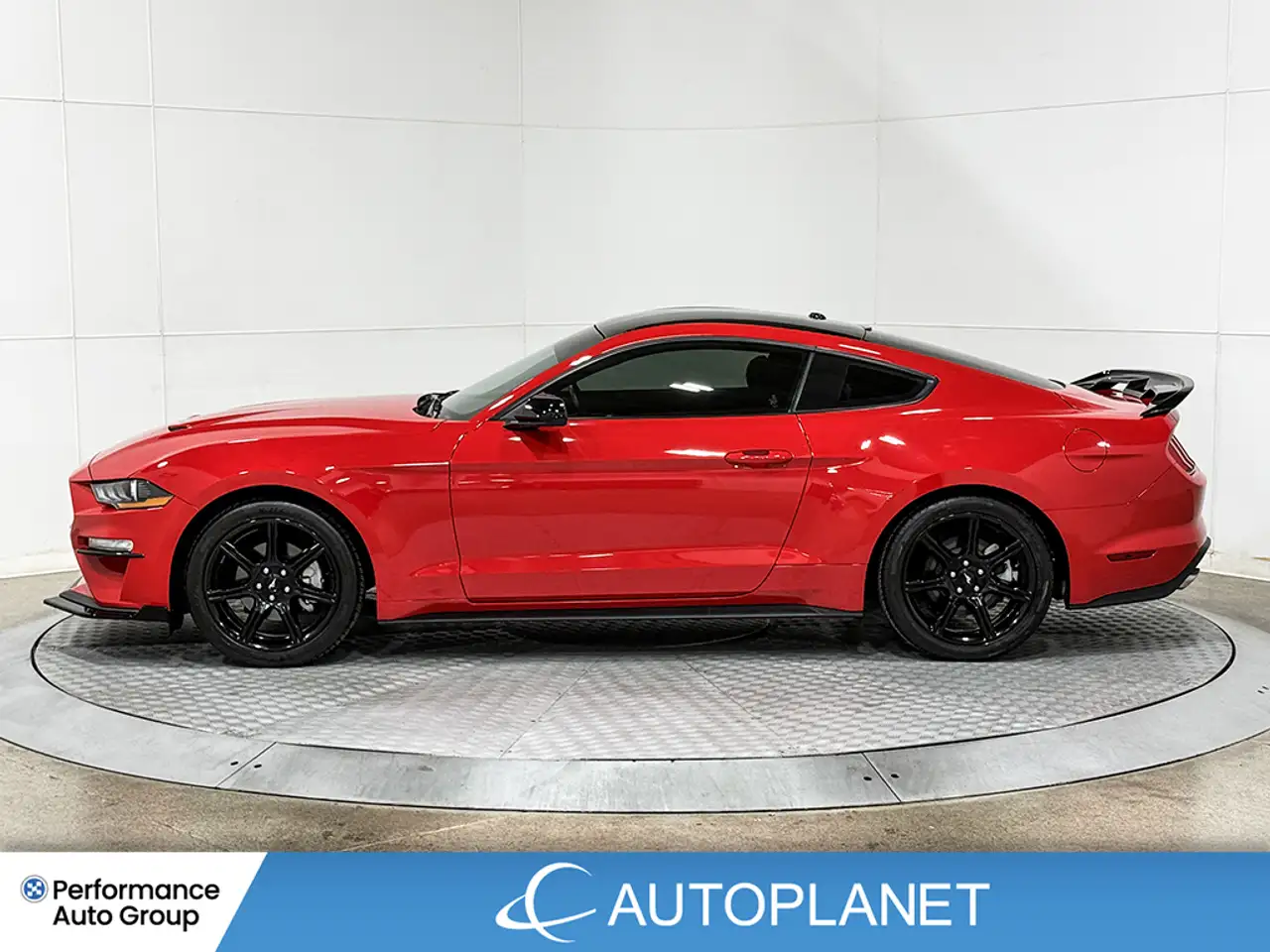 Ford Mustang photo Ford Mustang