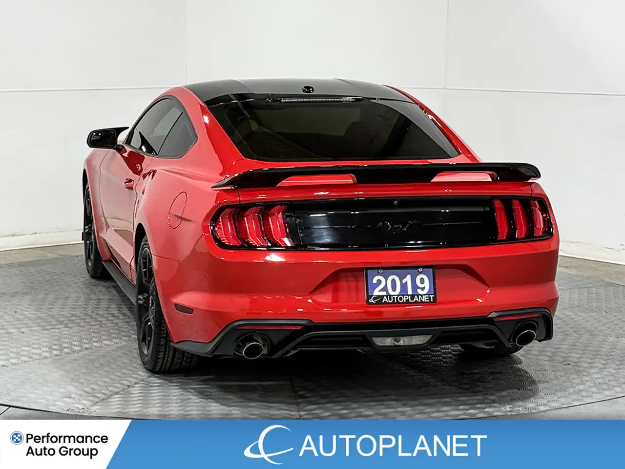 Ford Mustang photo Ford Mustang