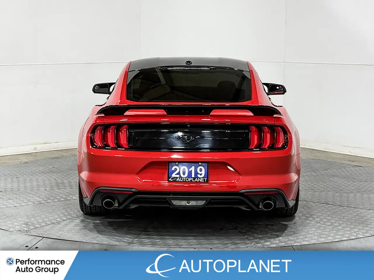 Ford Mustang photo Ford Mustang