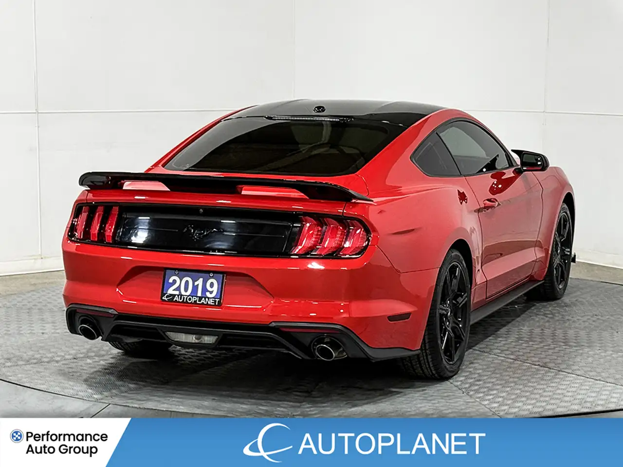 Ford Mustang photo Ford Mustang