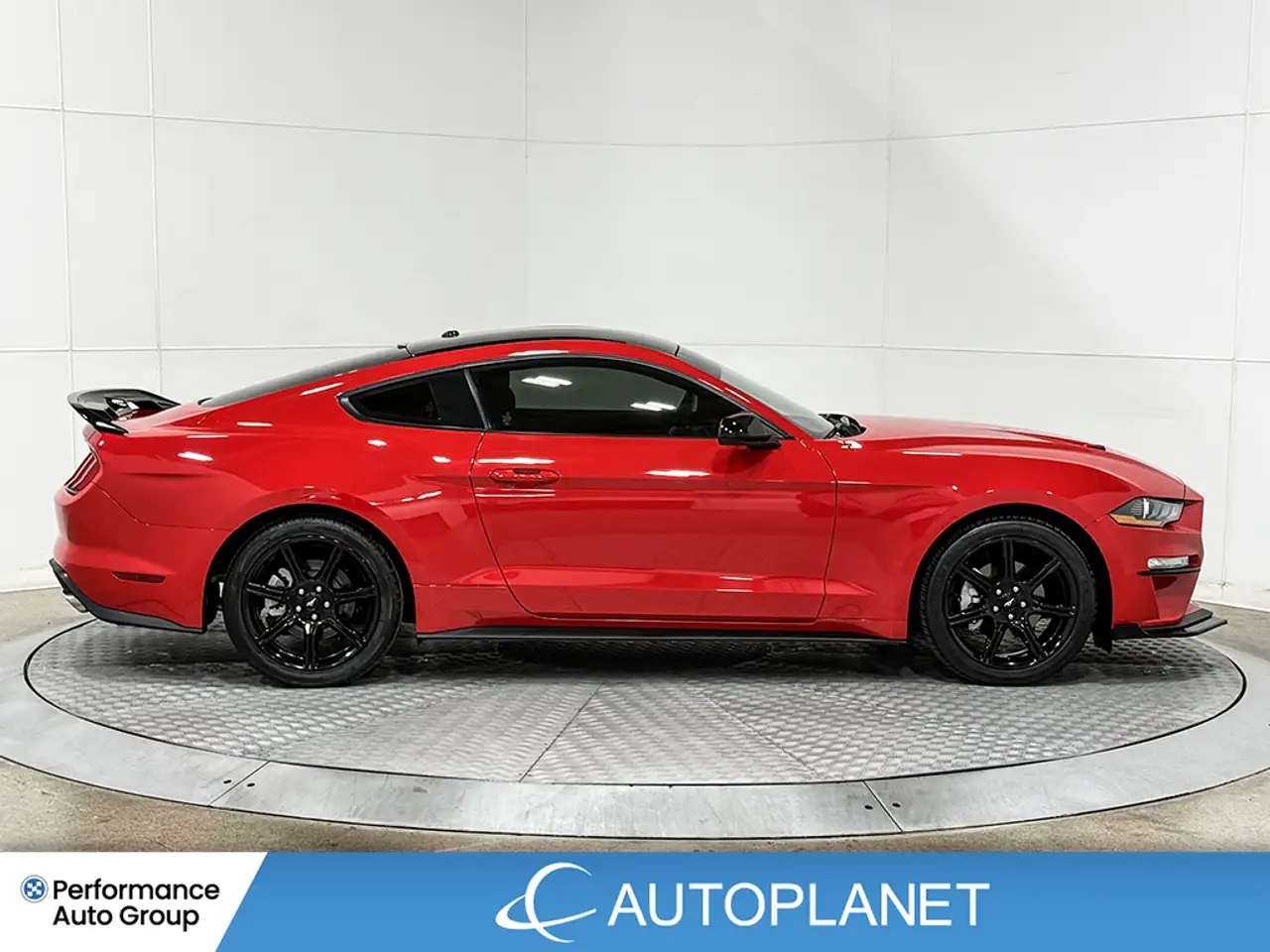 Ford Mustang photo Ford Mustang