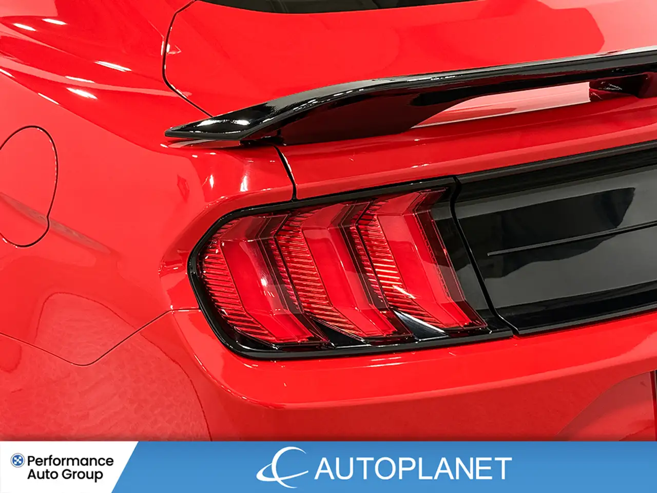 Ford Mustang photo Ford Mustang