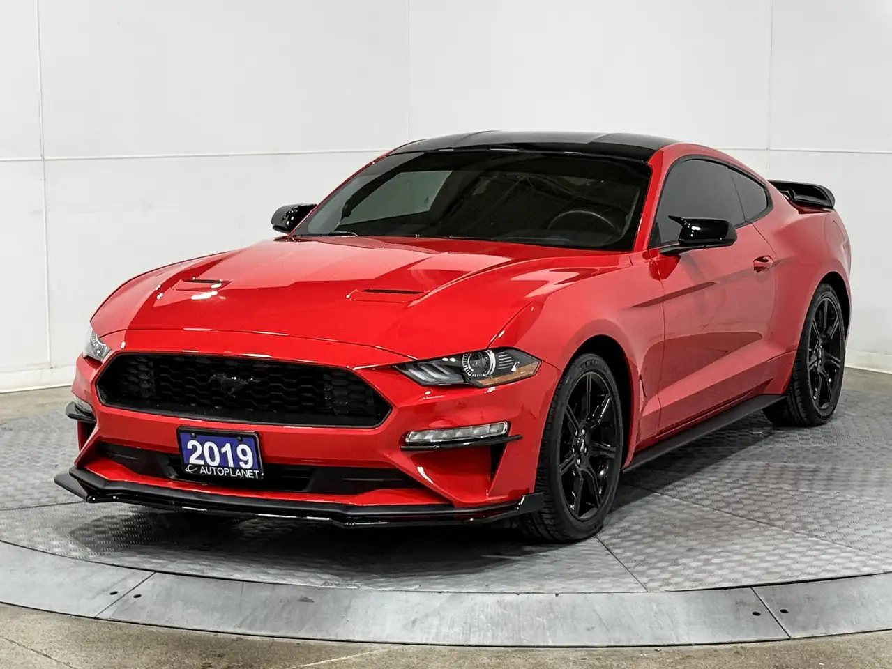 Ford Mustang photo Ford Mustang
