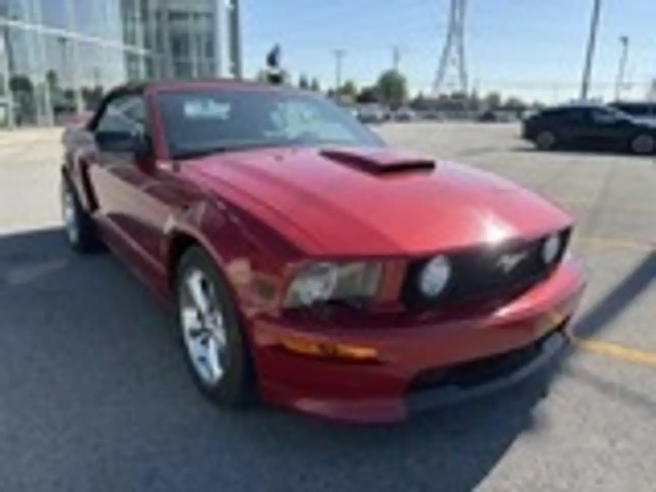 Ford Mustang fotografie Ford Mustang