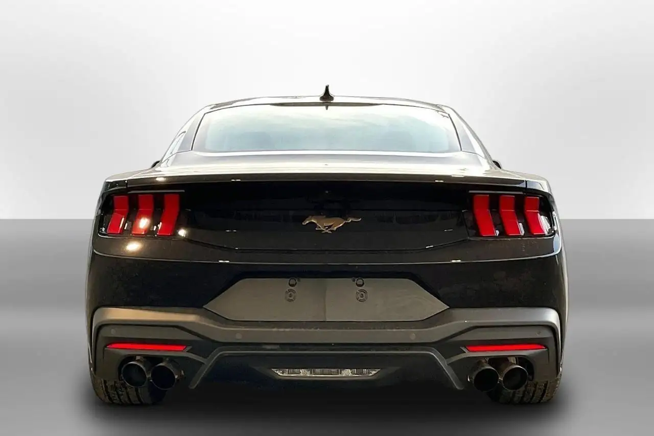 Ford Mustang fotografie Ford Mustang