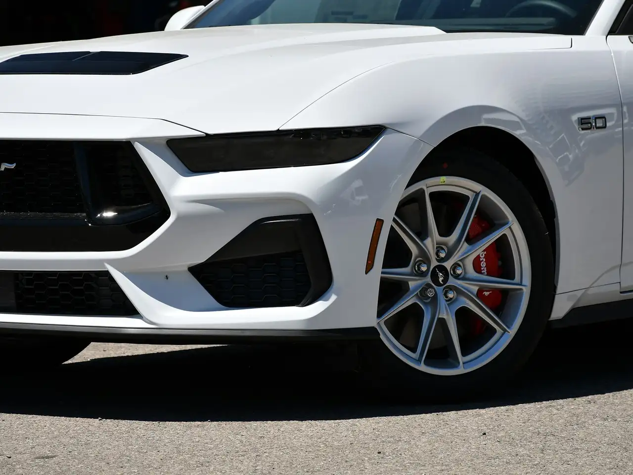 Ford Mustang fotografie Ford Mustang