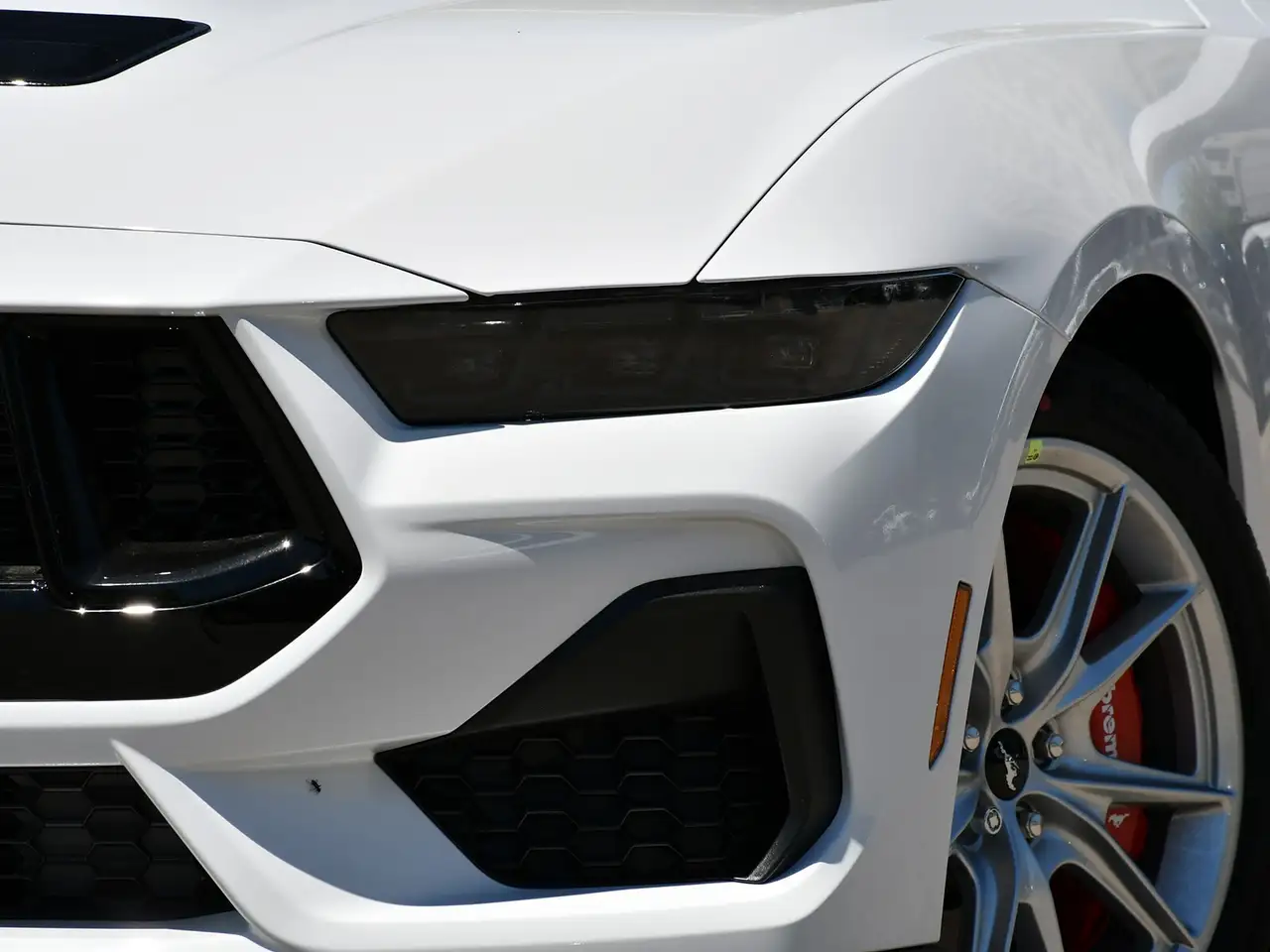 Ford Mustang fotografie Ford Mustang