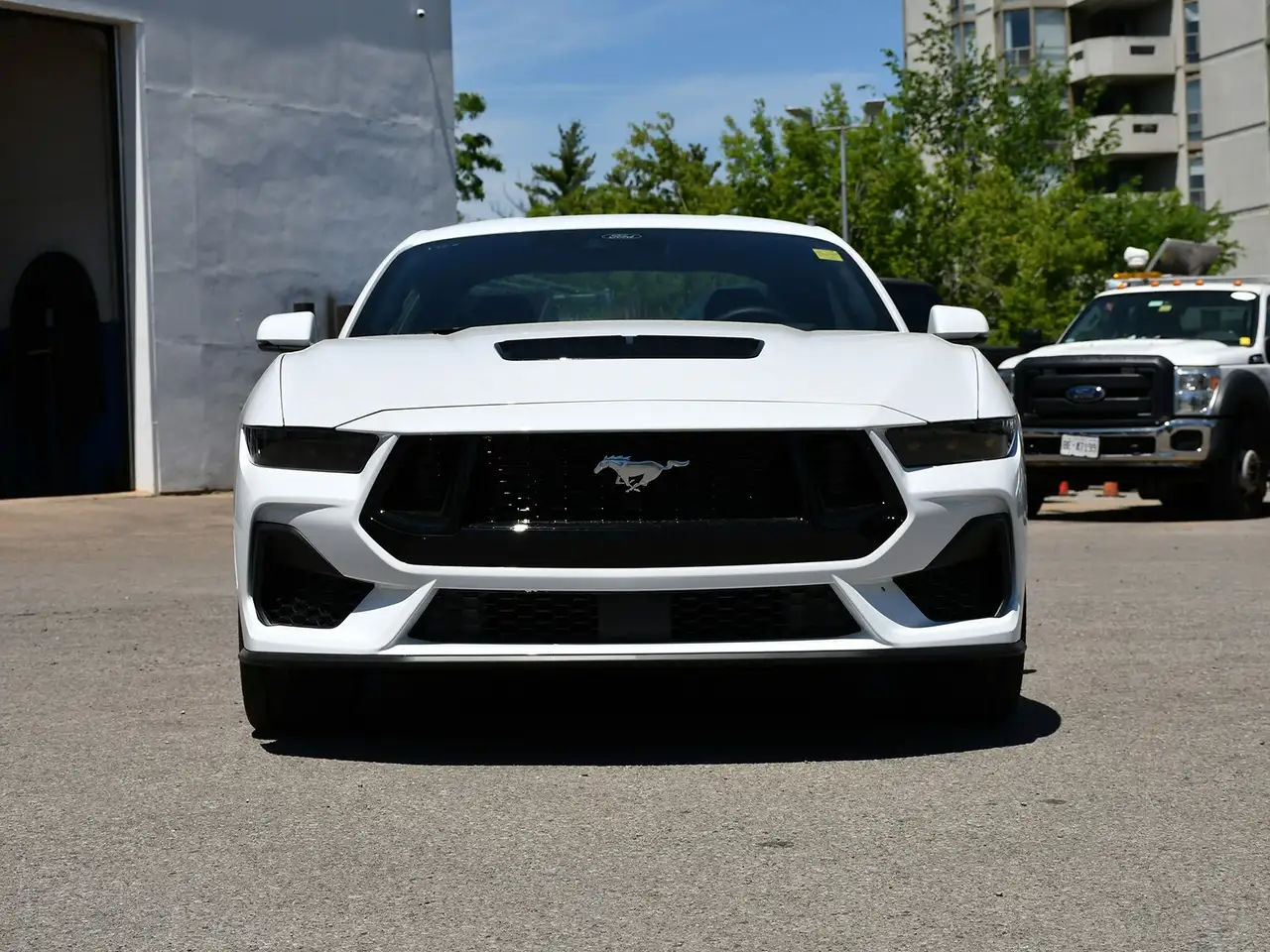 Ford Mustang fotografie Ford Mustang