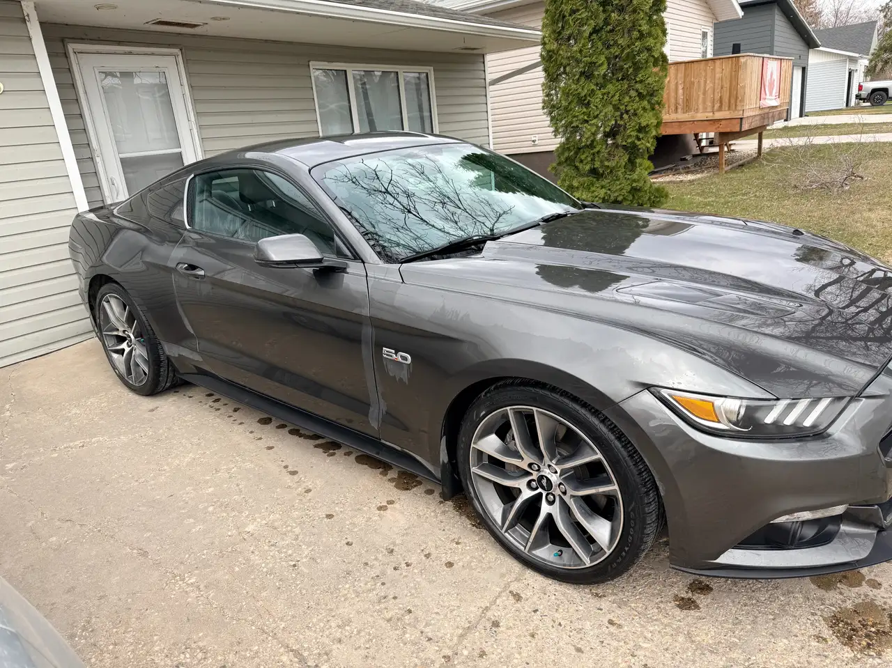 Ford Mustang fotografie Ford Mustang