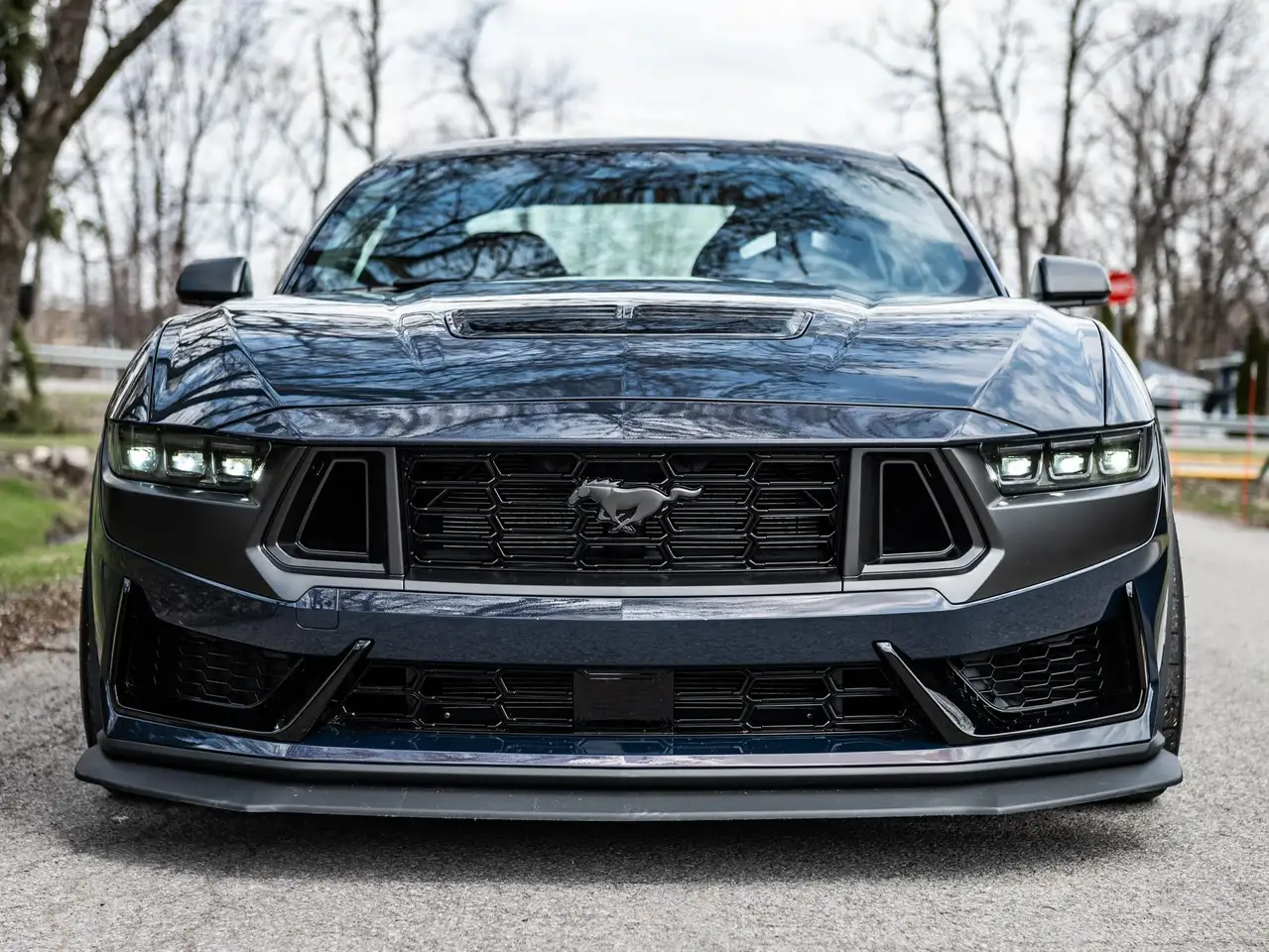 Ford Mustang снимка Ford Mustang