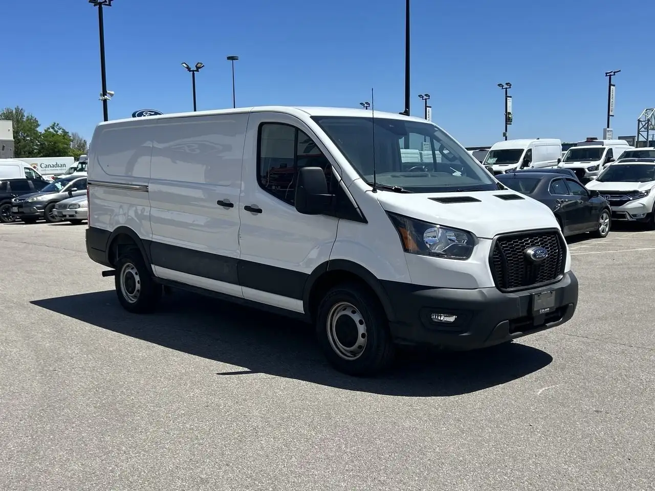 Ford Transit fotografie Ford Transit