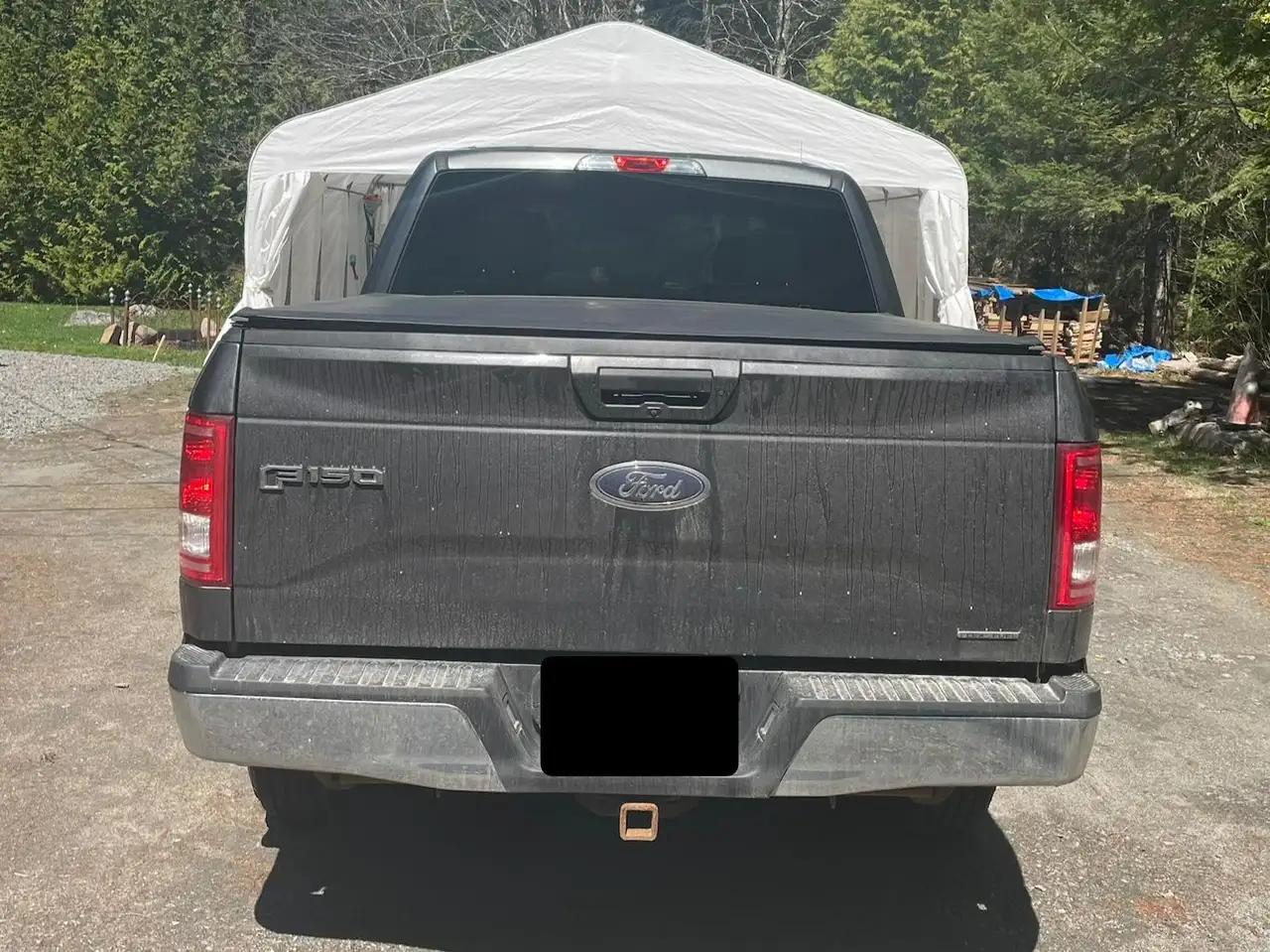 Ford F 150 снимка Ford F 150