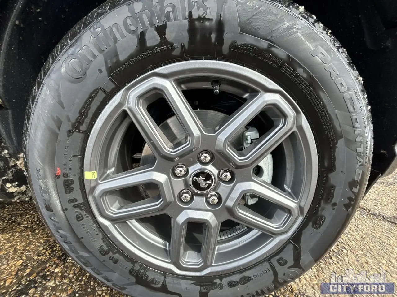 Ford Bronco Sport снимка Ford Bronco Sport