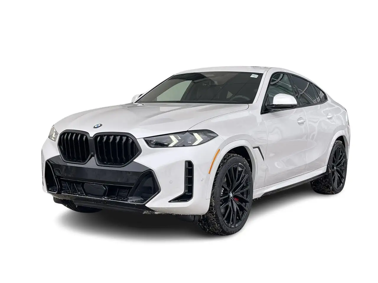 2024 BMW X6
