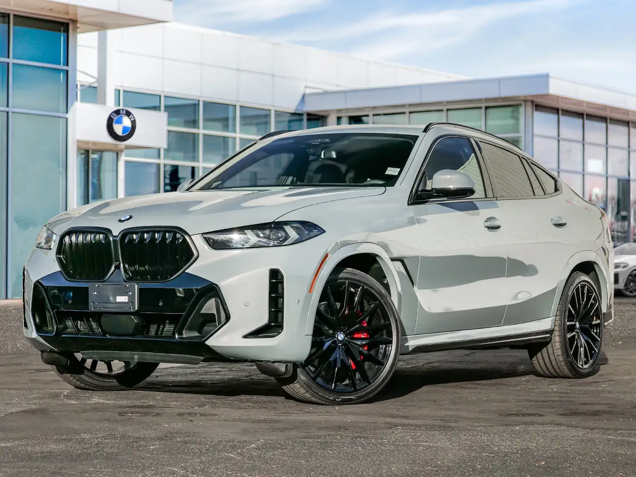 BMW X6 fotografie BMW X6