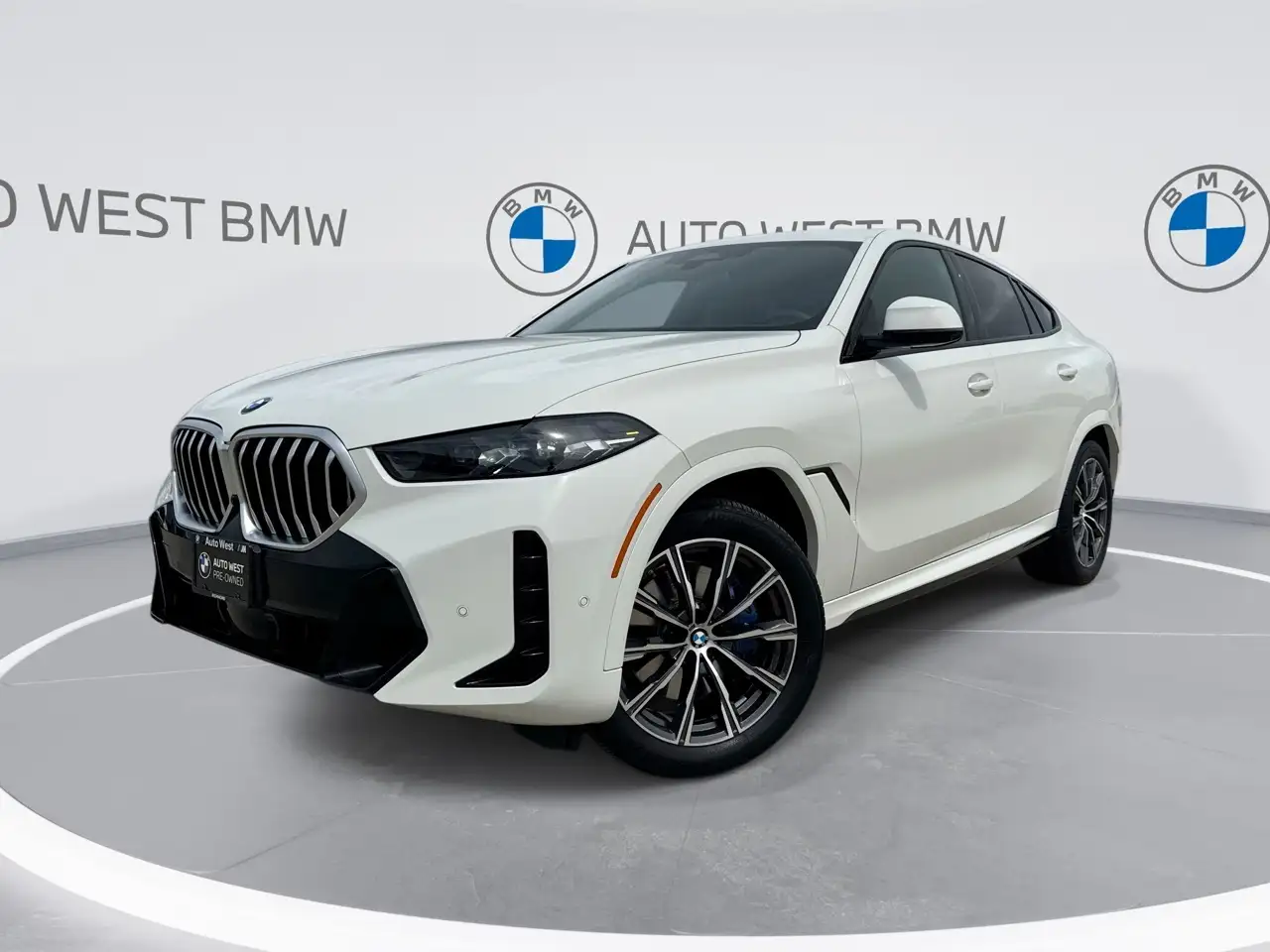 2024 BMW X6