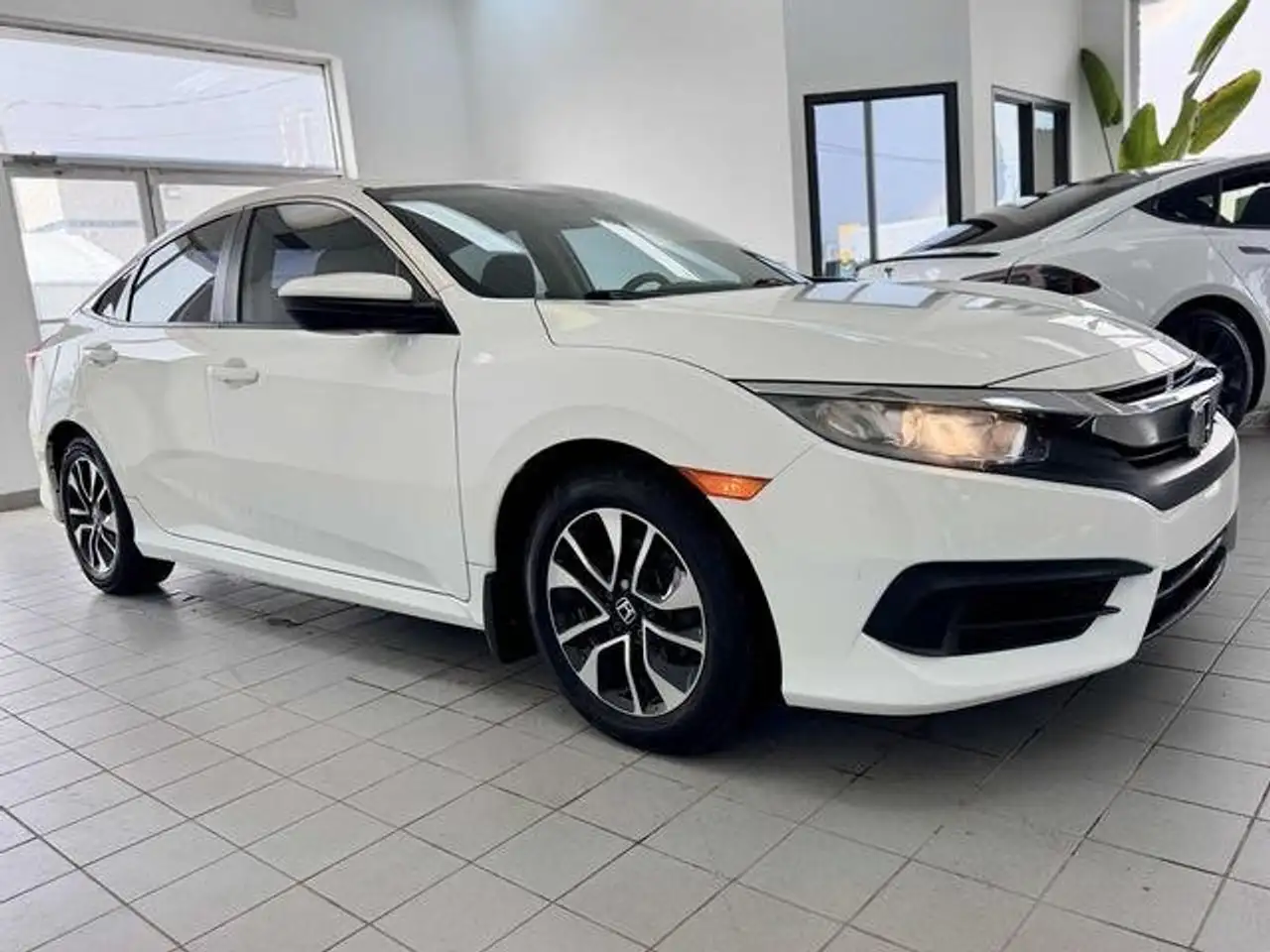 Honda Civic photo Honda Civic