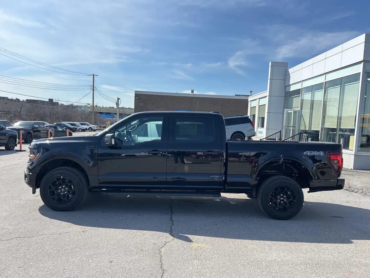 Ford F 150 fotografie Ford F 150