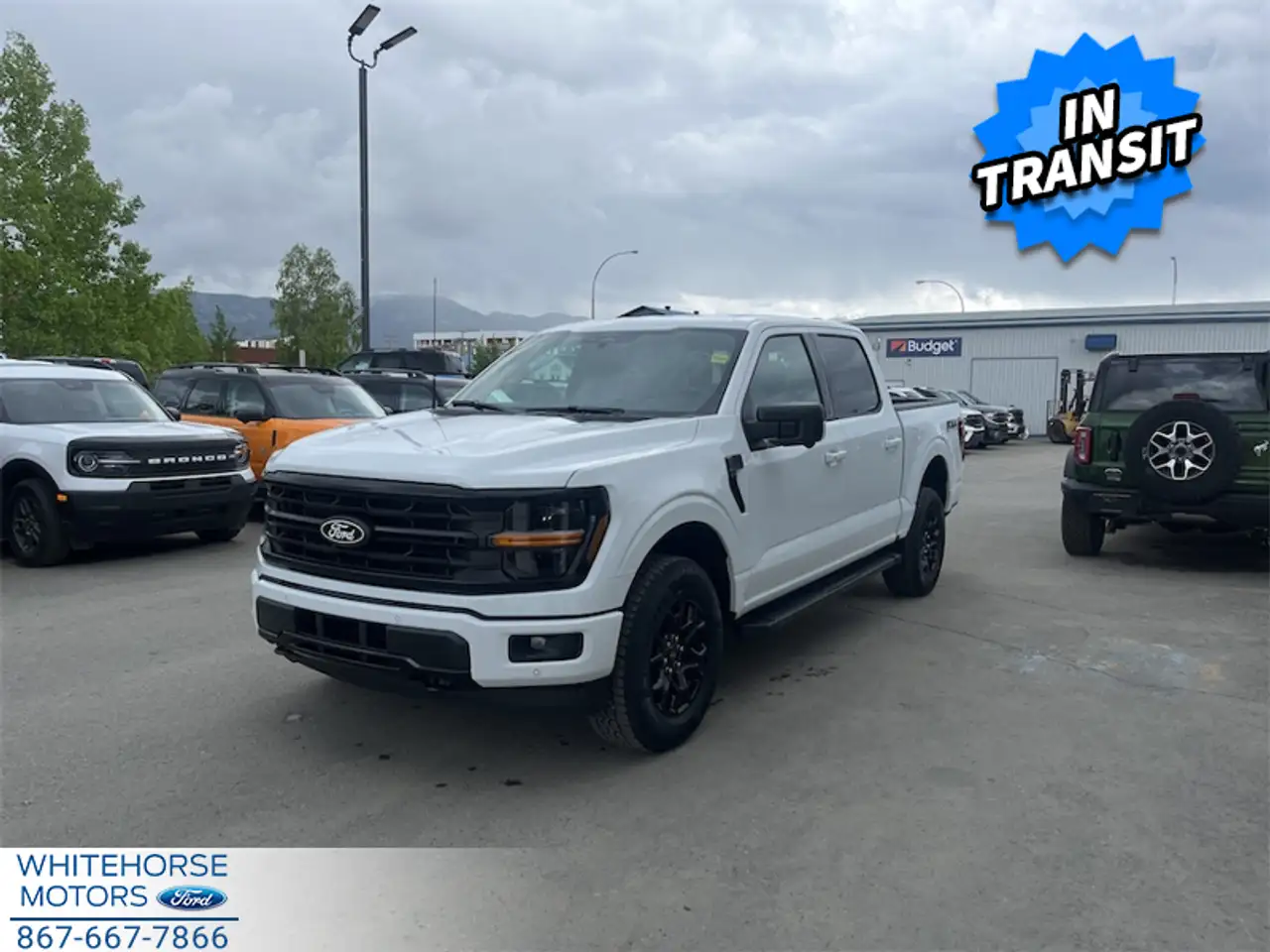 Ford F 150 photo Ford F 150