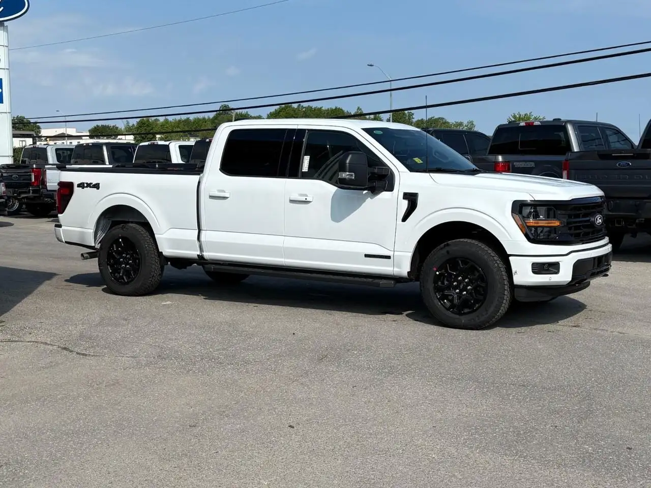 Ford F 150 fotografie Ford F 150