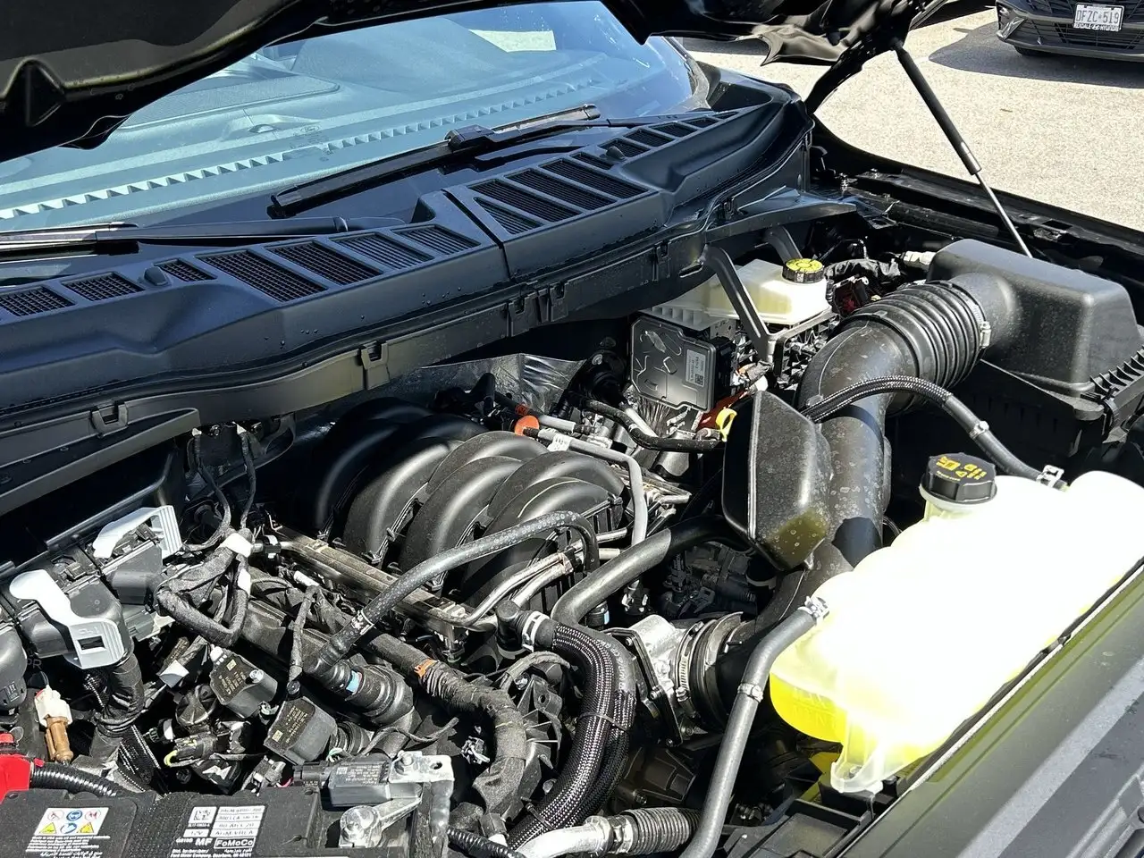 Ford F 150 fotografie Ford F 150