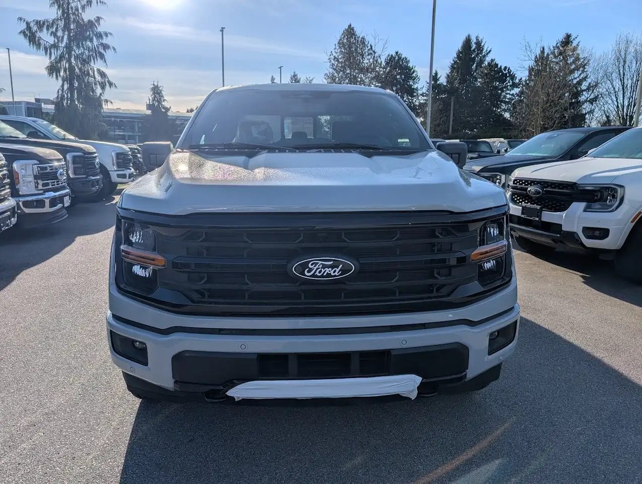Ford F 150 снимка Ford F 150